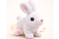 Pet Animal Rabbit (White)